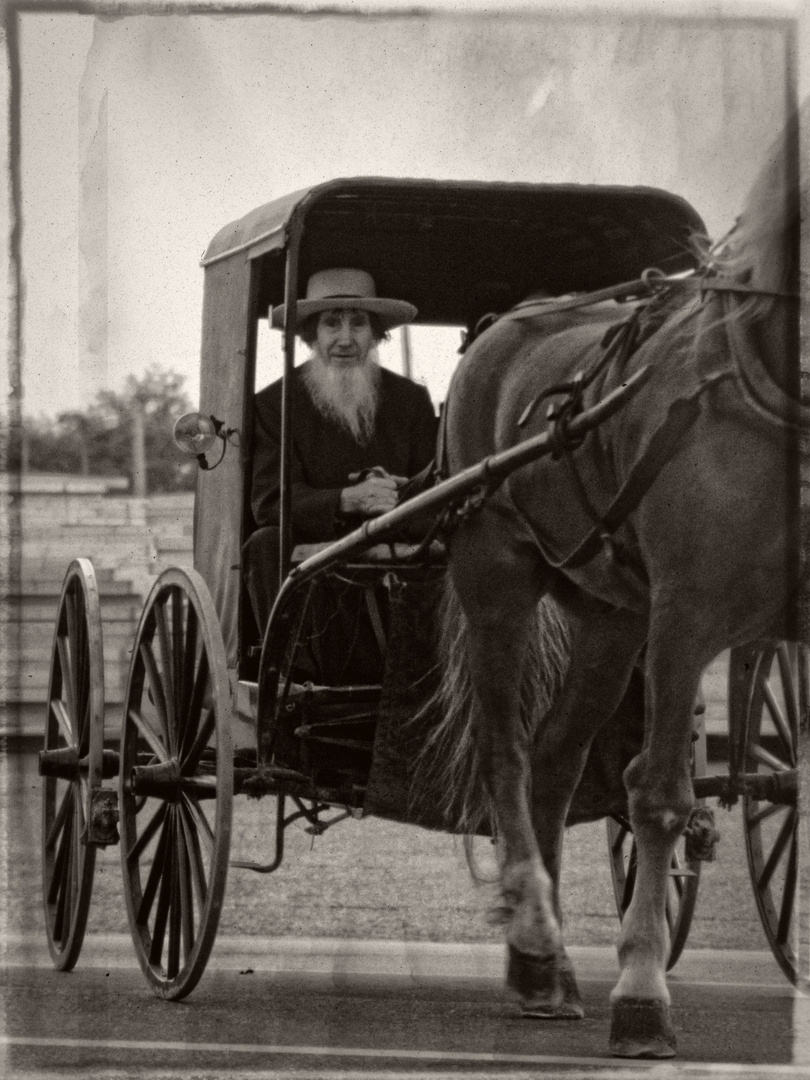 Amish Foto & Bild north america, united states, new england Bilder auf