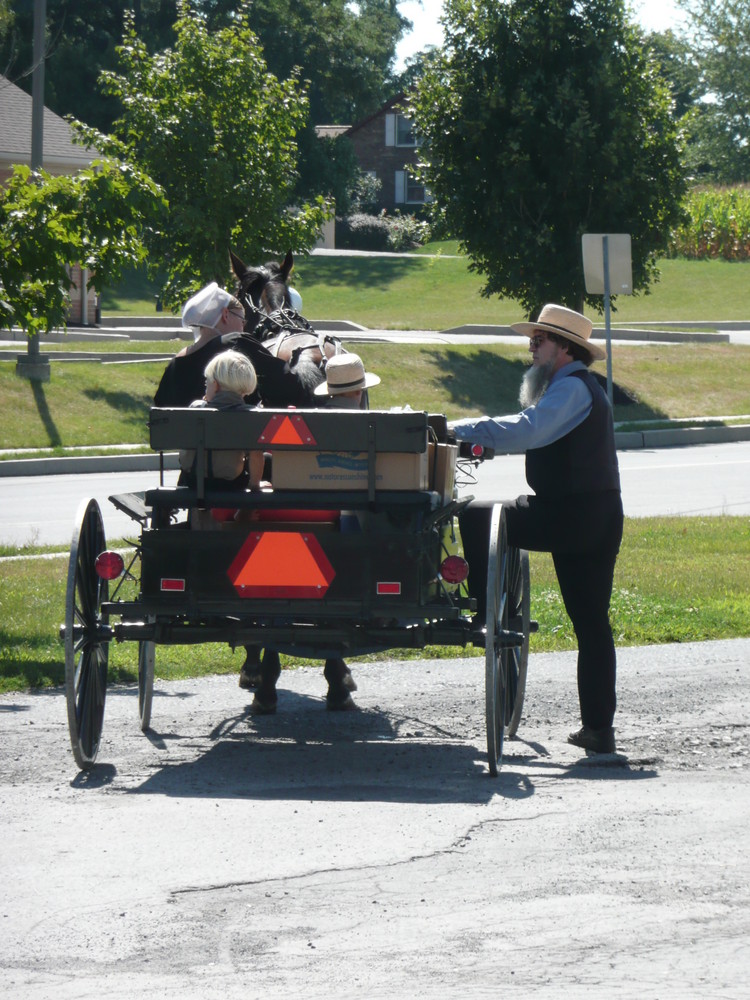 Amish Family