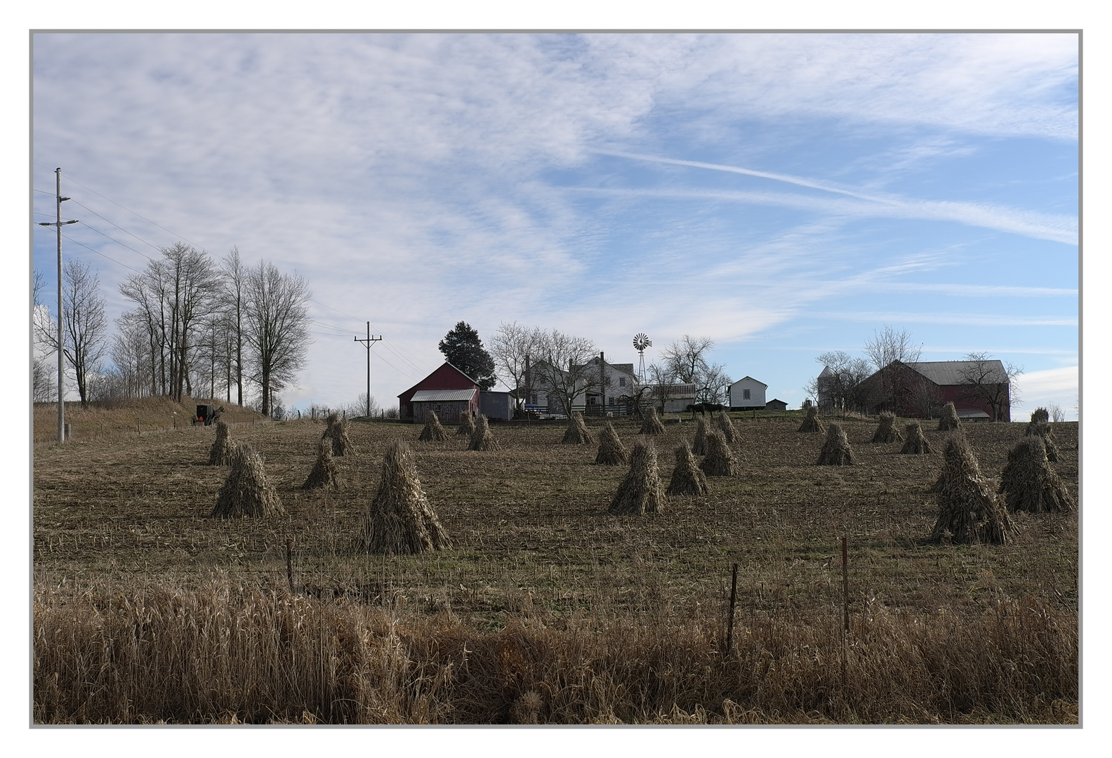 Amish - Farm