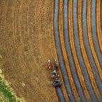 Amish Farmer bei der Arbeit