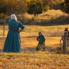 Amish farmers