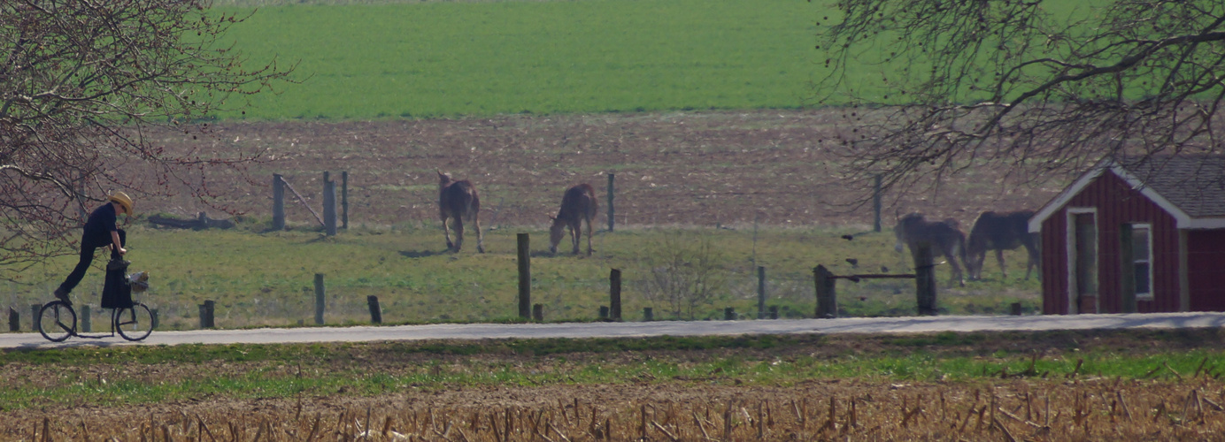 Amish in Lancaster County