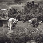 Real Amish People