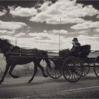 [ Amish Land ]