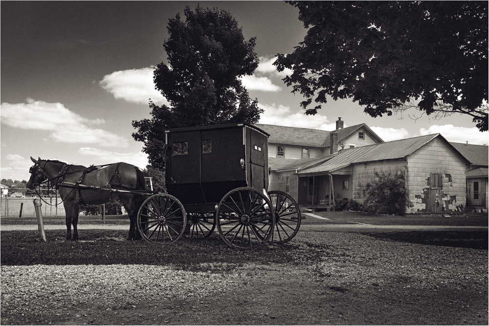 _ Amish Land _