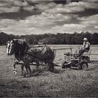 ~ Amish Land ~