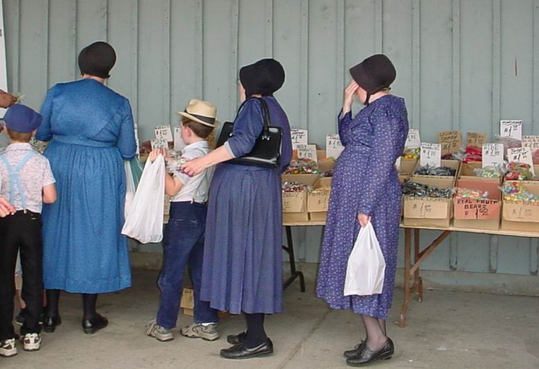 Amish oder Mennonites in Ontario, Kanada