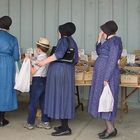 Amish oder Mennonites in Ontario, Kanada