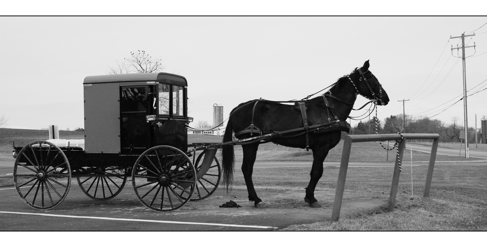 Amish Parking