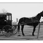 Amish Parking