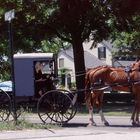 Amish People