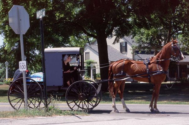 Amish People