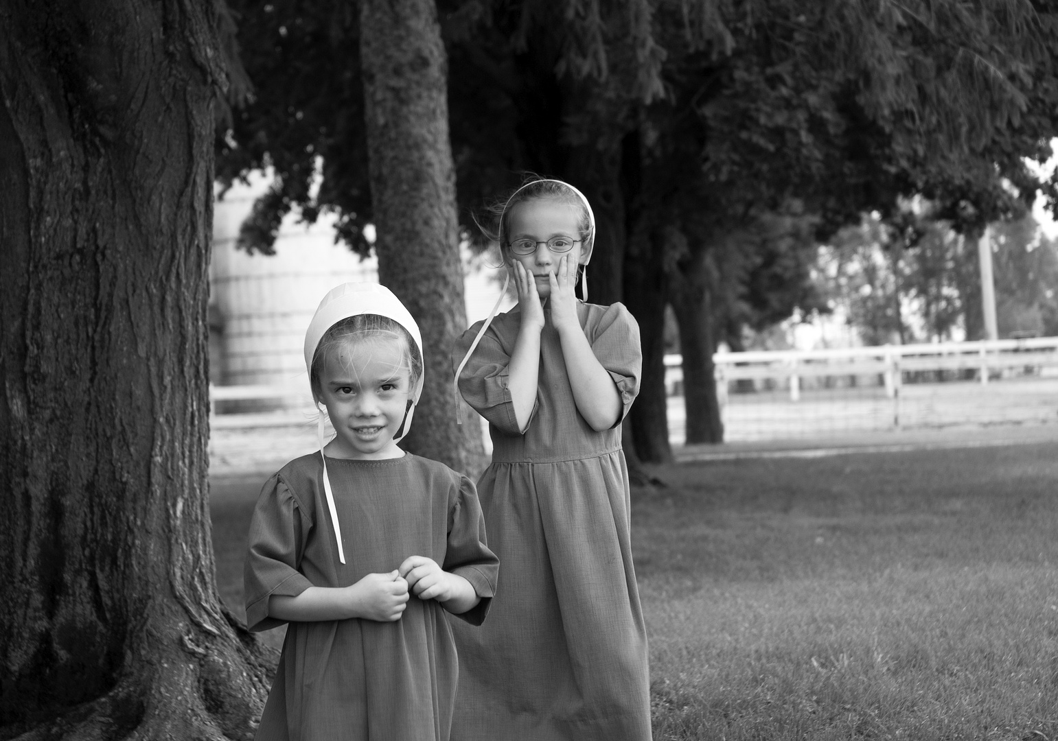 Amish people, Illinois, USA