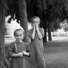 Amish people, Illinois, USA
