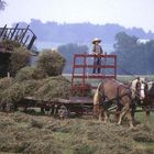 Amish-People in Ohio (I)