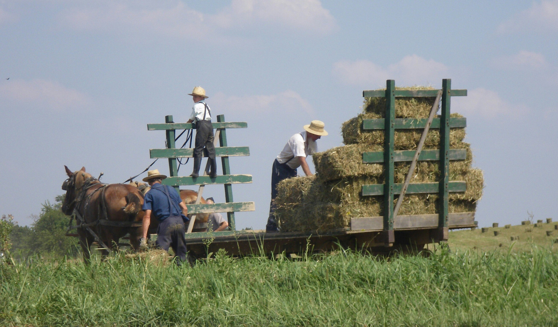 Amish People Nähe Columbus/Ohio