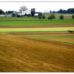 Amishland ....