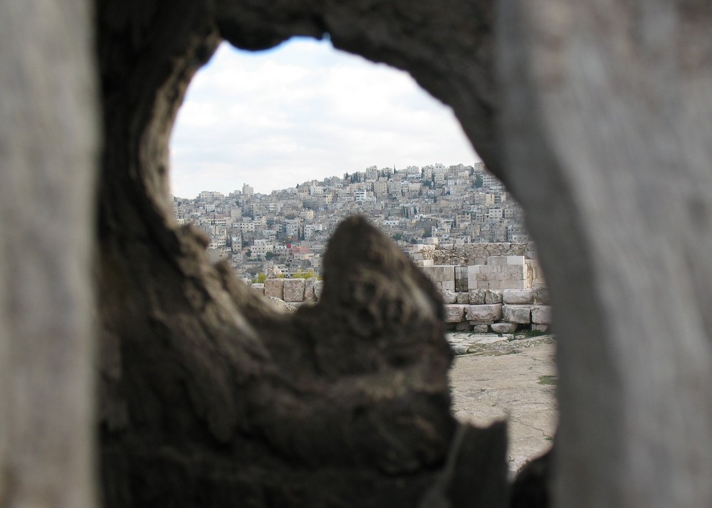 Amman durch einen Baum