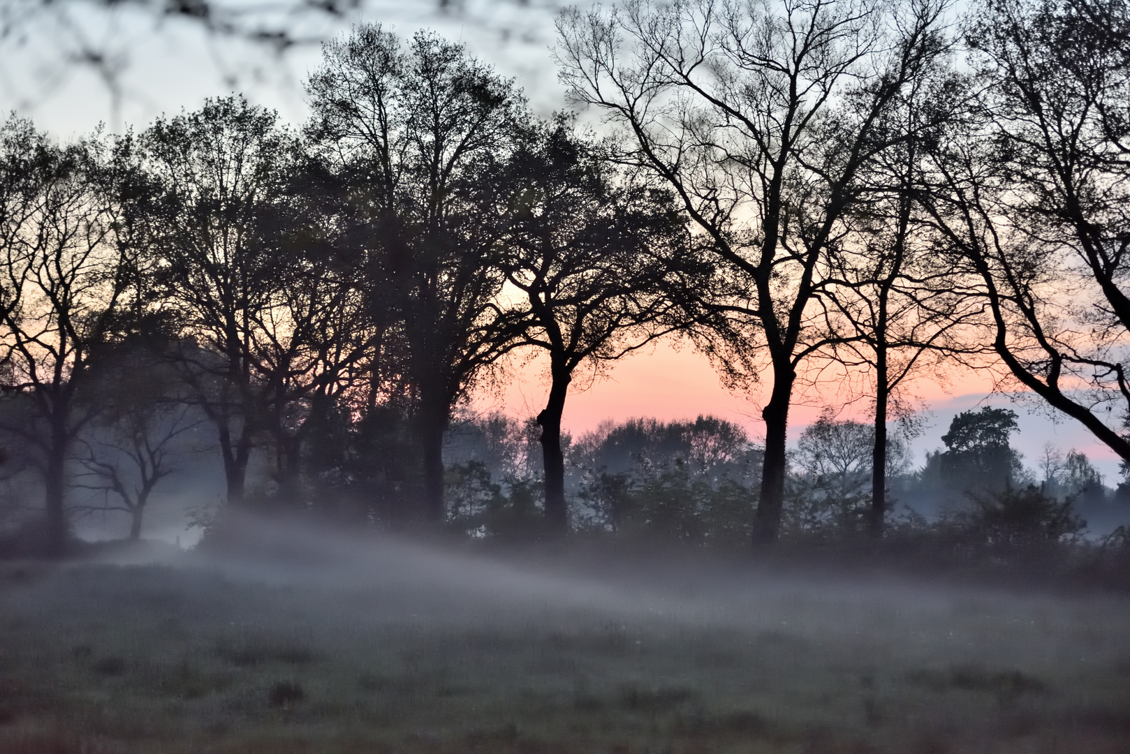 Ammerländer Abendnebel