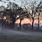 Ammerländer Abendnebel