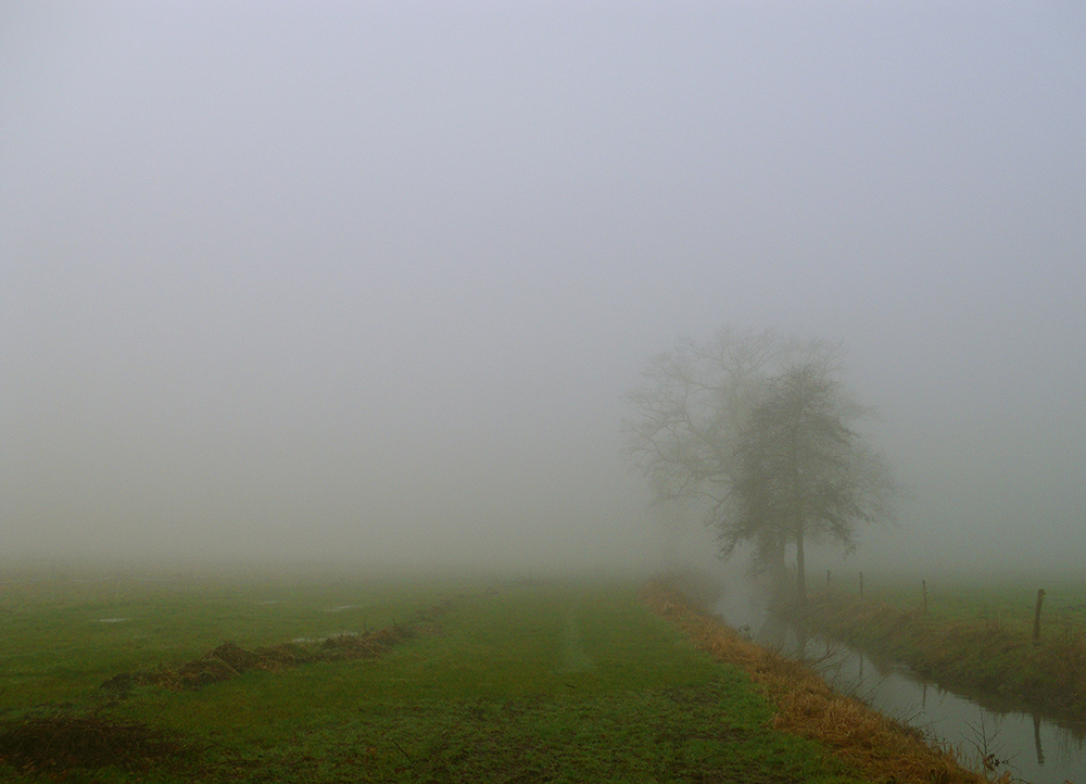 Ammerland im Nebel 1