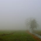 Ammerland im Nebel 1