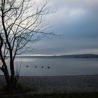 Ammersee 02