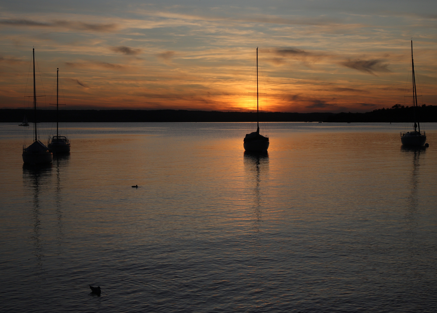 Ammersee 1 