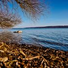 Ammersee 2