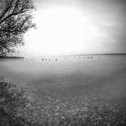 Ammersee 2