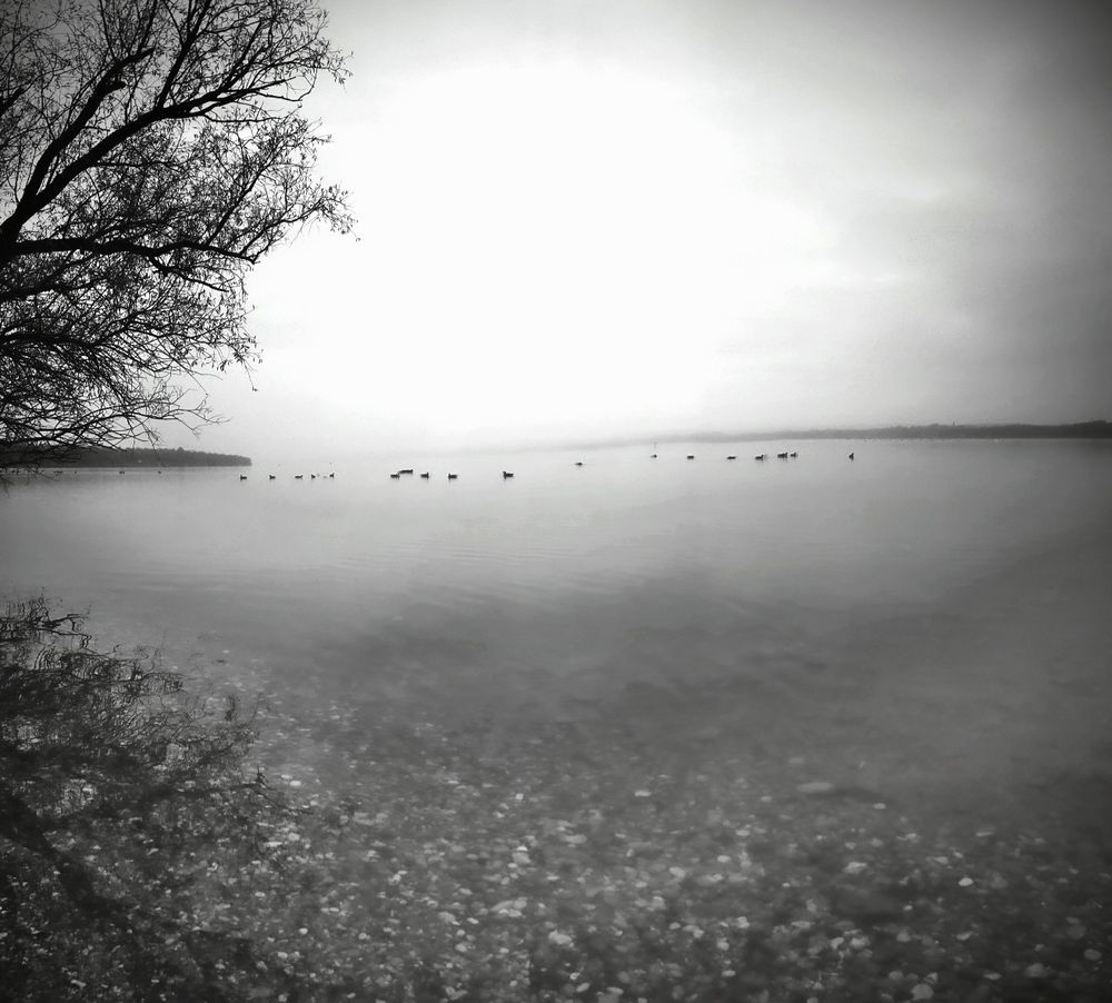 Ammersee 2