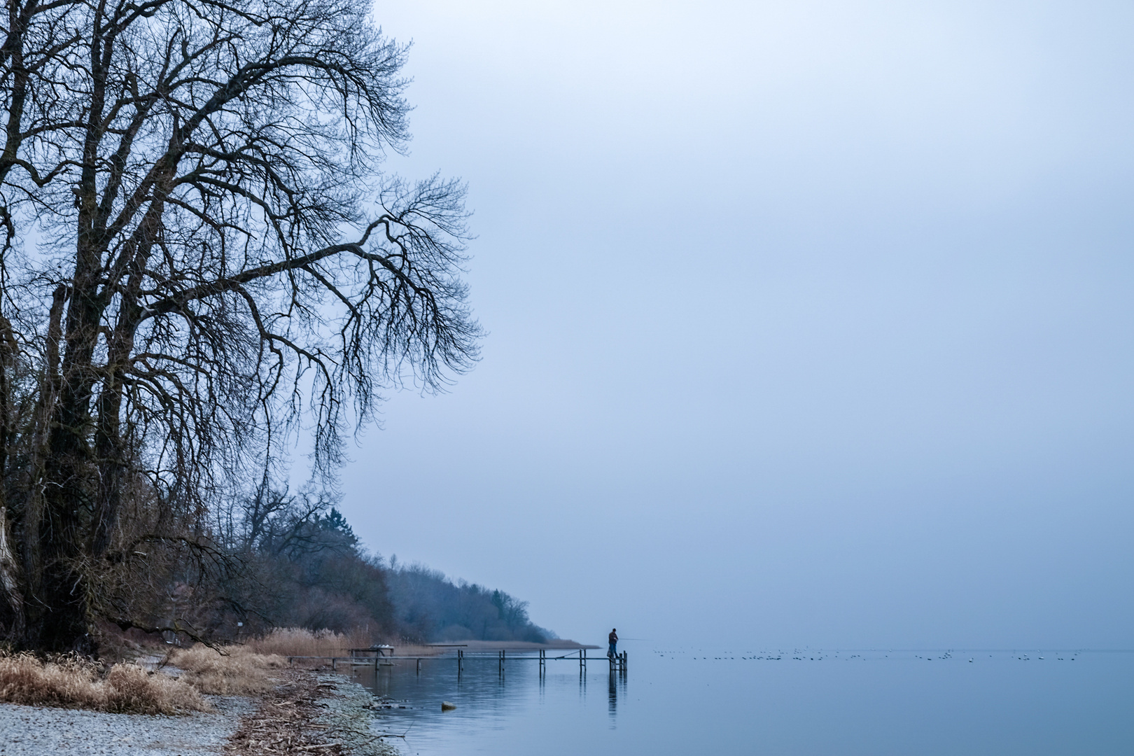 Ammersee