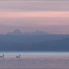 Ammersee