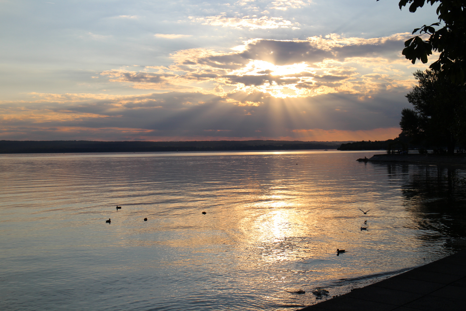 Ammersee