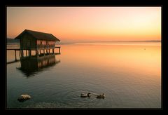 Ammersee