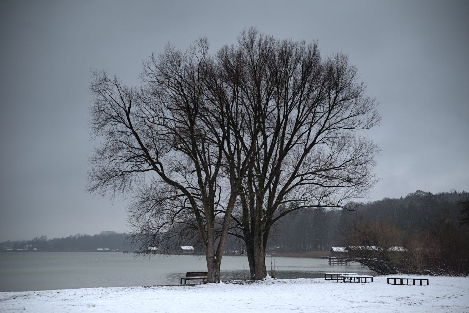 Ammersee