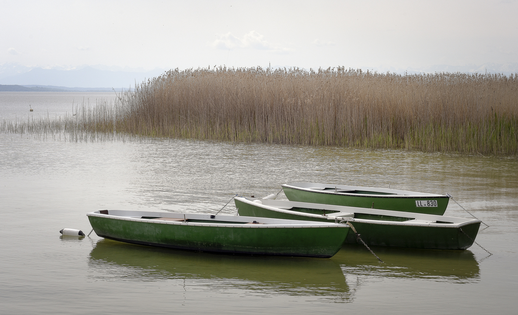 Ammersee