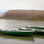 Ammersee