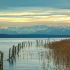 Ammersee