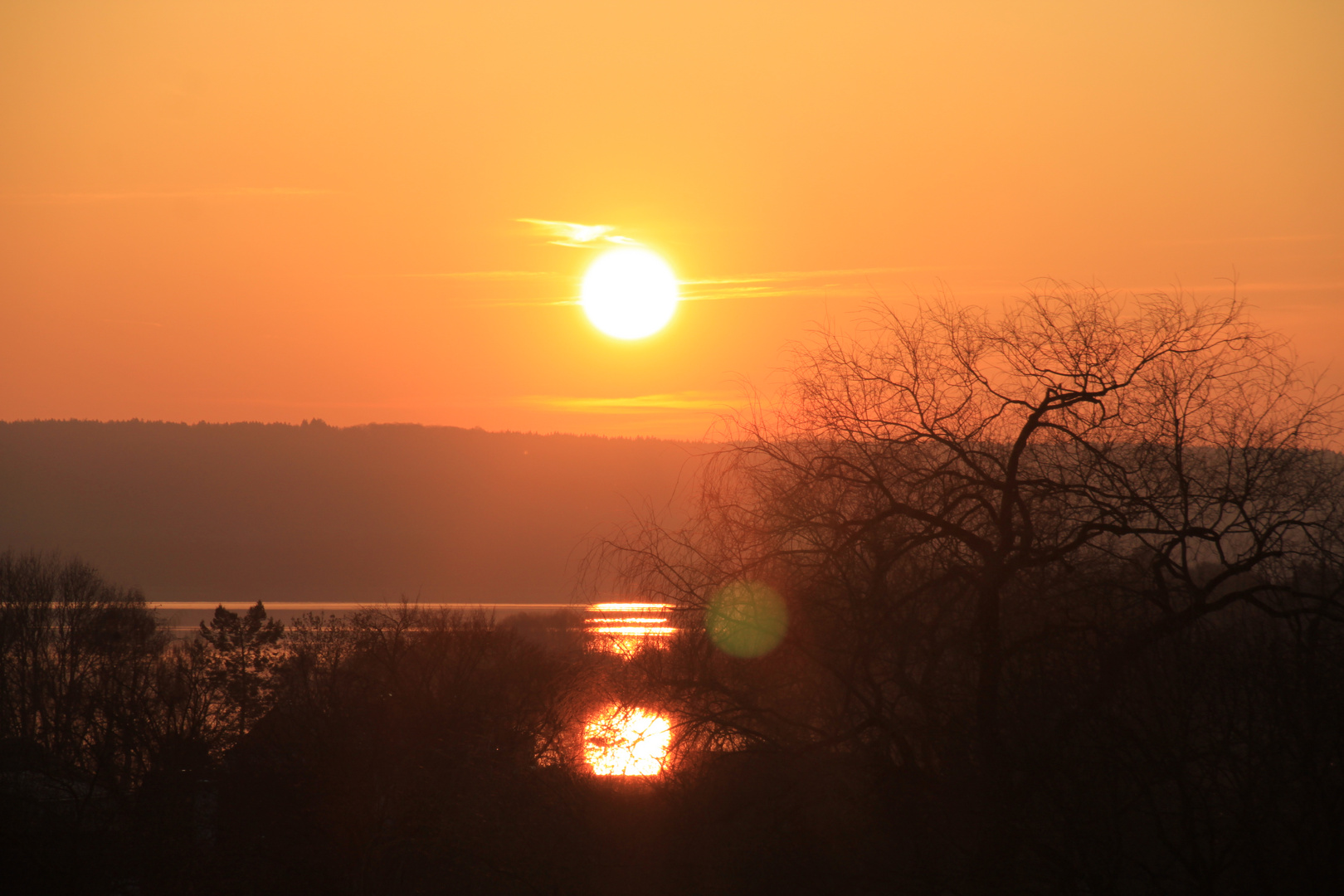 'Ammersee