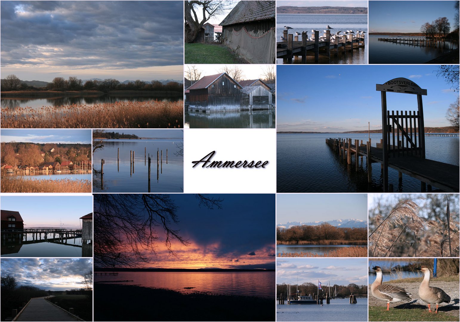 ~Ammersee~