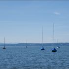 _ammersee