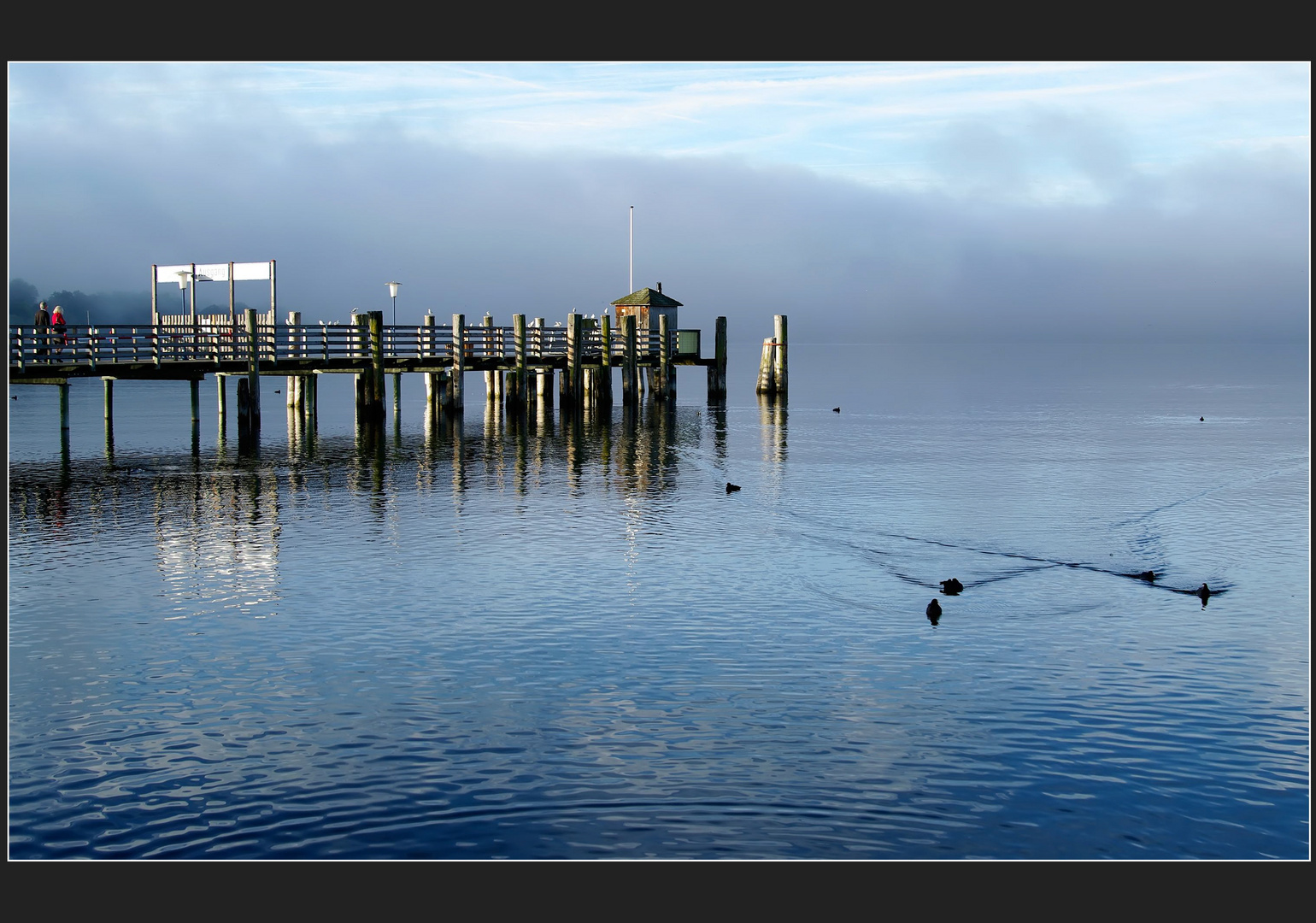 > Ammersee 
