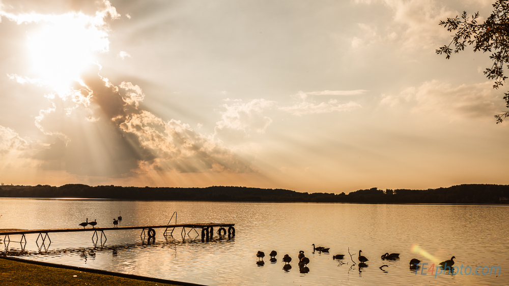 Ammersee