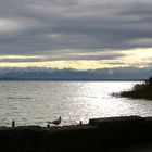 Ammersee am Abend