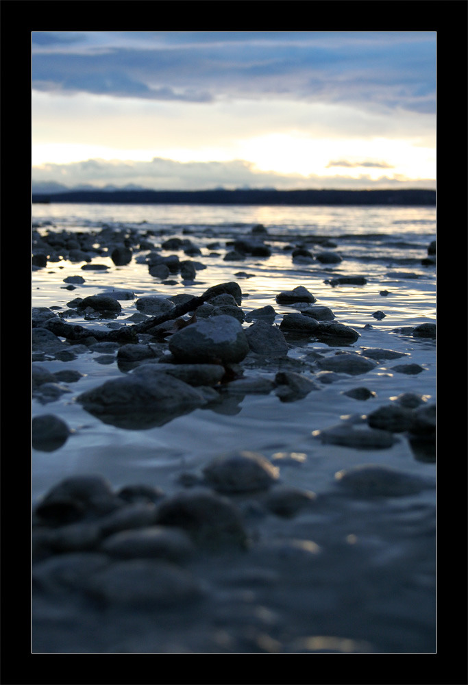 Ammersee aus der Froschperspektive