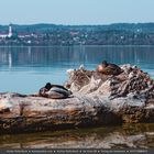 ammersee, bayern