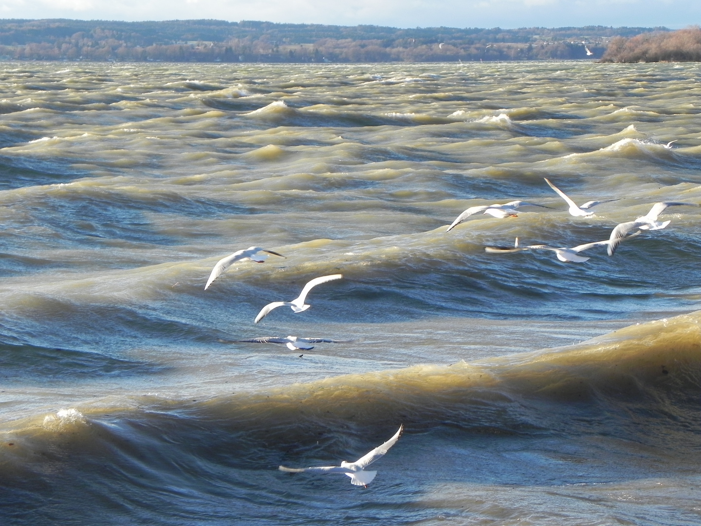 Ammersee bei Sturm 2