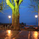 Ammersee Biergarten at Night