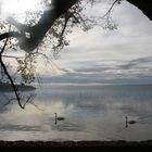 Ammersee bis bald